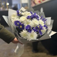 Звездная ночь